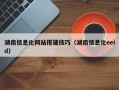 湖南信息化网站搭建技巧（湖南信息化eeid）