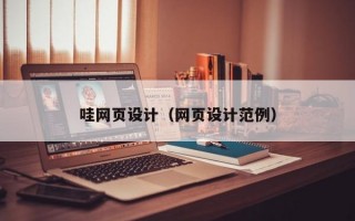 哇网页设计（网页设计范例）