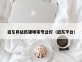 启东网站搭建哪家专业好（启东平台）