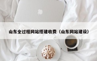 山东全过程网站搭建收费（山东网站建设）