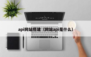 api网站搭建（网站api是什么）