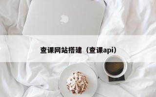 查课网站搭建（查课api）