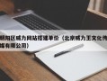 朝阳区威力网站搭建单价（北京威力王文化传媒有限公司）